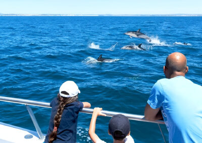 Paseo privado con delfines y Cuevas Benagil | TITOTRAVEL