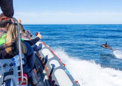 Crucero con delfines y cueva de Benagil TITOTRAVEL