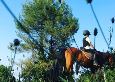 Excursiones a caballo Barcelona | TITOTRAVEL