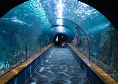 Visita Aquarium Barcelona | TITOTRAVEL