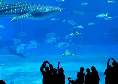 Entradas Aquarium Barcelona | TITOTRAVEL