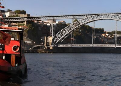Cruise 6 bridges Porto | TITOTRAVEL