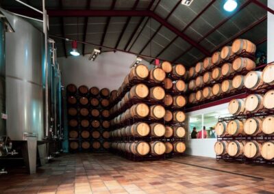 Cata de vinos Benidorm | TITOTRAVEL