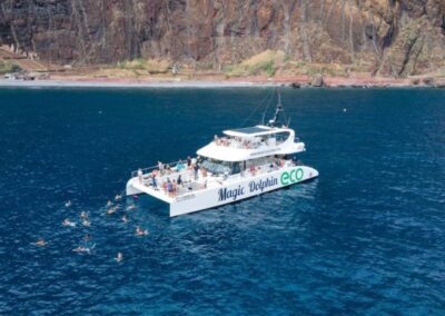 Avistamiento de cetáceos barco de lujo Madeira | TITOTRAVEL