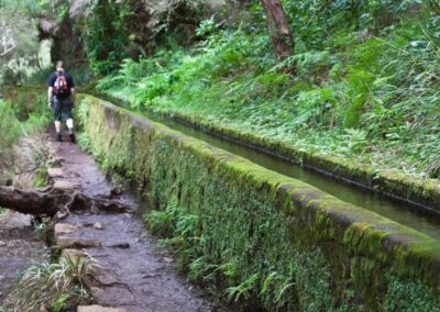 Ruta de trekking en Madeira | TITOTRAVEL