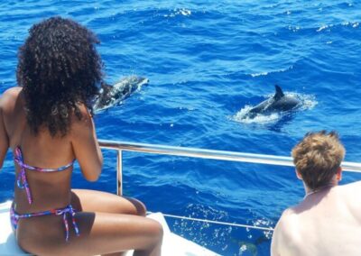 Avistamiento de delfines en un barco de lujo Madeira | TITOTRAVEL