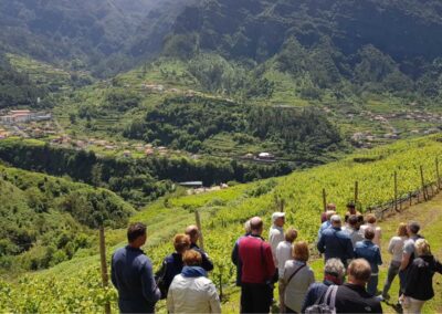 Degustación de vinos en Madeira | TITOTRAVEL