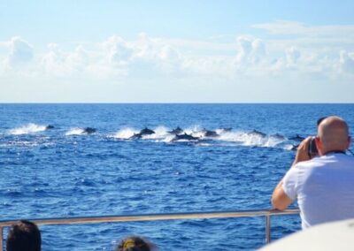 Avistamiento de cetáceos barco de lujo Madeira | TITOTRAVEL