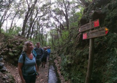 Excursión en la naturaleza en Madeira | TITOTRAVEL