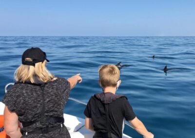 Paseo en barco para ver delfines en Faro | TITOTRAVEL