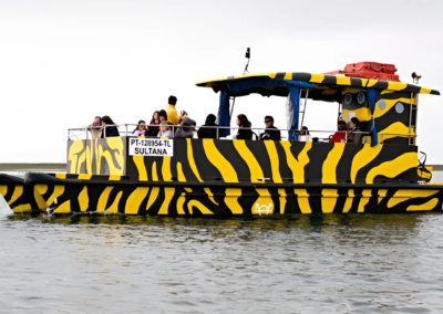 Barco al atardecer Ria Formosa en Faro | TITOTRAVEL
