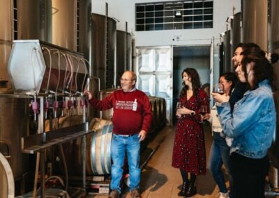 Tour y Cata de vinos Bodega Quinta da Tôr en Albufeira | Visita con cata en Albufeira