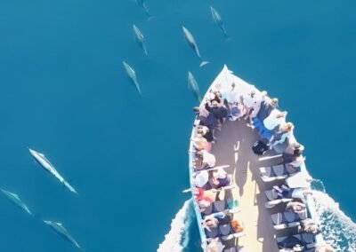 Barco con Avistamiento de delfines con biologo en Portimao