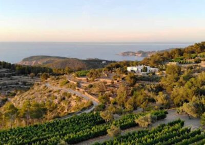 Ruta bodegas en Ibiza | TITOTRAVEL