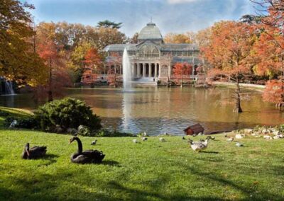 Visita el Parque del Retiro Madrid | TITOTRAVEL | Recorrido al Parque del Retiro Madrid