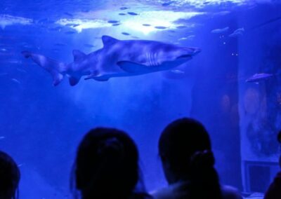 Acuario Sevilla entrada | TITOTRAVEL | Acuario Sevilla