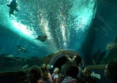 Acuario Sevilla entrada | TITOTRAVEL | Ticket acuario Sevilla