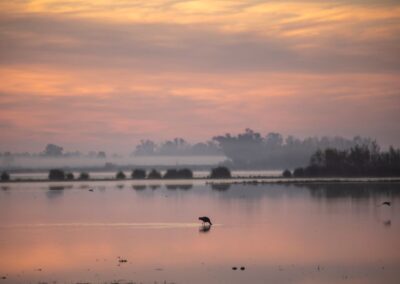 Visita Doñana desde Sevilla | TITOTRAVEL | Excursión de un día a Doñana desde Sevilla