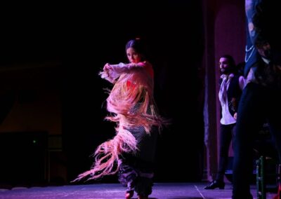 Espectáculo flamenco en El Palacio Andaluz | TITOTRAVEL | Show flamenco en El Palacio Andaluz