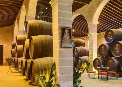 Visita bodegas Salado desde Sevilla | TITOTRAVEL