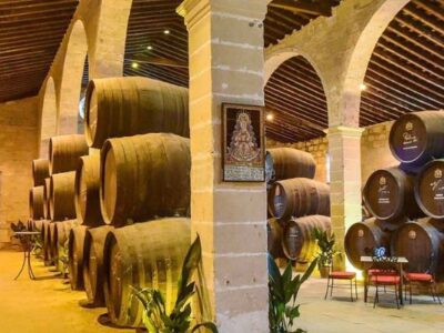 Visita bodegas Salado desde Sevilla | TITOTRAVEL