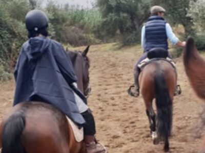 Paseo a caballo en el Aljarafe desde Sevilla | TITOTRAVEL