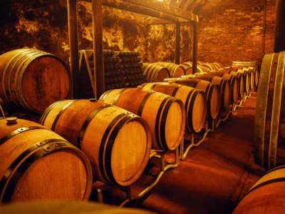 Cata de vinos en Aveiro | TITOTRAVEL
