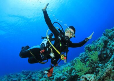 Experiencia de buceo en Arrábida Setúbal | TITOTRAVEL