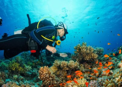 Bucear en Arrábida Setúbal | TITOTRAVEL | Bautismo de buceo Arrábida Setúbal
