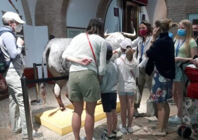 Entradas a la plaza de toros Sevilla | TITOTRAVEL