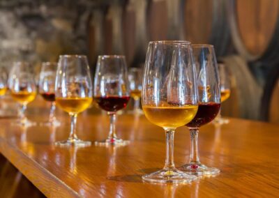 Cata de vinos en Lisboa | TITOTRAVEL
