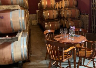 Tour del vino de Setúbal con visita y degustación en 2 bodegas | TITOTRAVEL