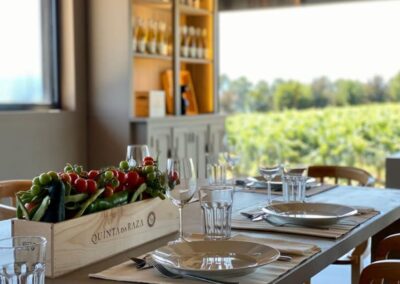 Tour guiado por los vinos Alvarinho de Quinta da Raza Braga | TITOTRAVEL