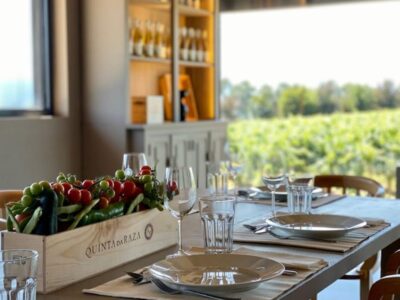 Tour guiado por los vinos Alvarinho de Quinta da Raza Braga | TITOTRAVEL