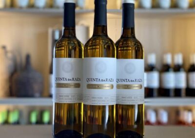 Visita bodegas Braga | TITOTRAVEL