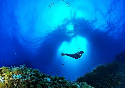 Buceo en Mallorca | TITOTRAVEL