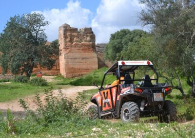 Excursión en buggy por Sintra Lisboa | TITOTRAVEL