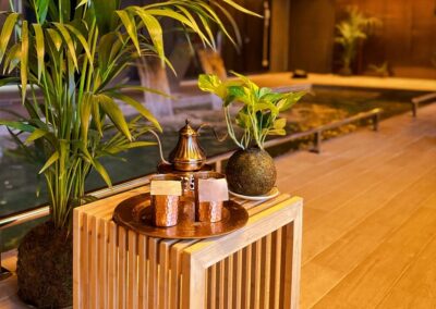 Relajación en Valencia Hotel Meliá | TITOTRAVEL