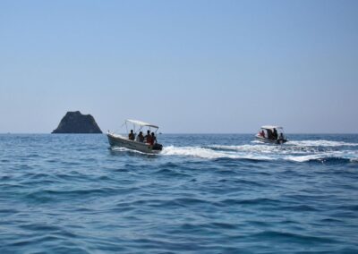 Excursión privada en barco Aveiro | TITOTRAVEL