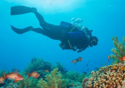 Bautismo de buceo en Lagos | TITOTRAVEL
